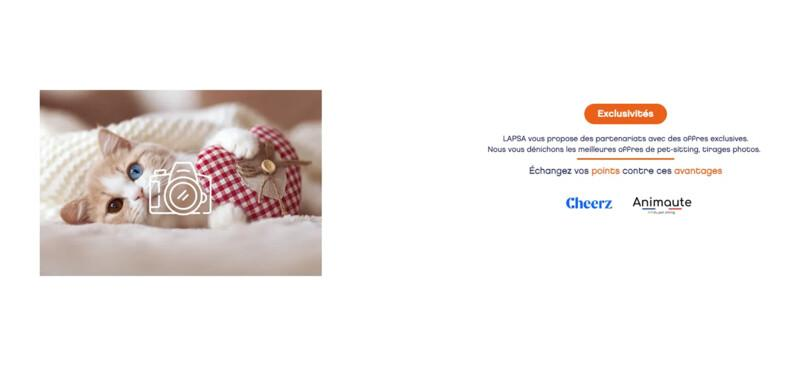 Article 10programmes Fidelisation Partenariat